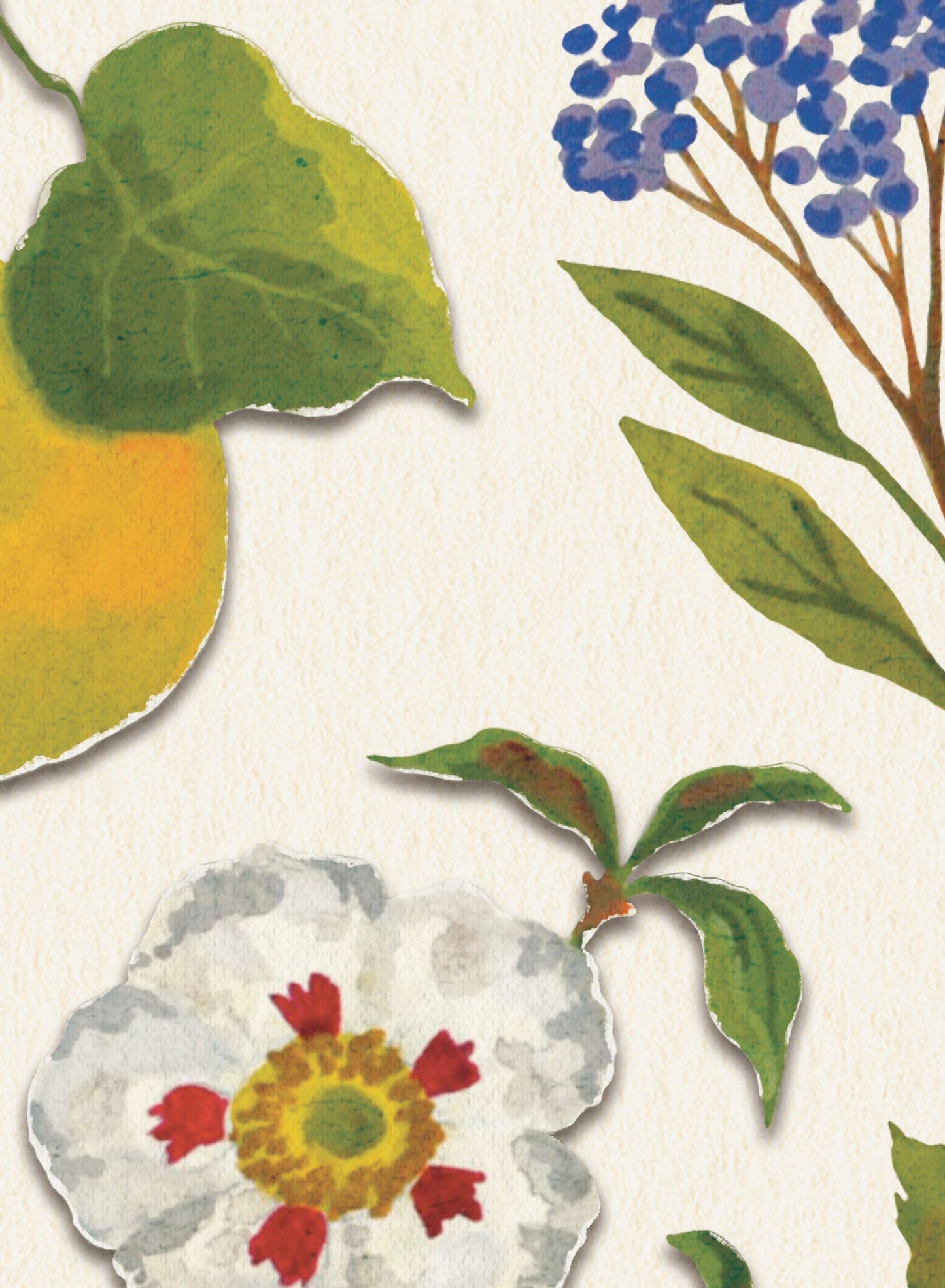 Nature Walk, Poster